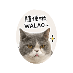 馬來西亞胖腿walao貼圖