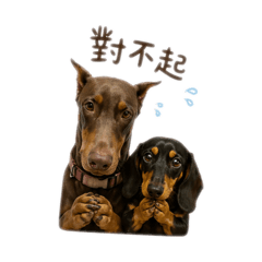 布布妮妮生活用語