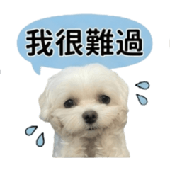 邱愛比 馬爾濟斯的可愛日常