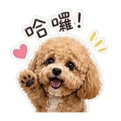 可愛の磨