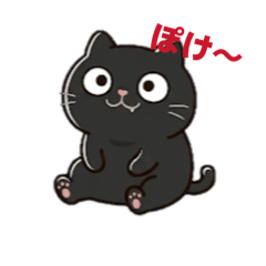 black cat Chiroru
