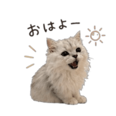 Uni_202605100345571
