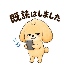 BeginnerCreator_20260510135808