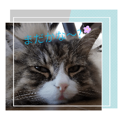 annkuku_20260510135423