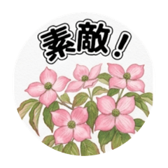 Yoshie_202654