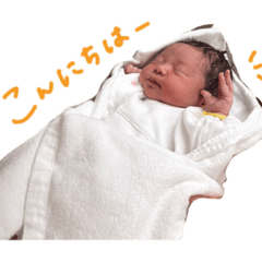ayk_20260510140435