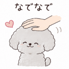 Spoiled Toy Poodle Stickers