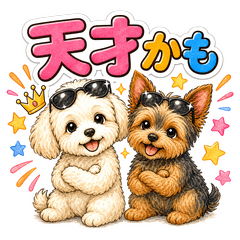 Maltipoo & Yorkie Silly Replies
