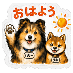 Harry and Riki Daily Stickers 2