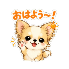 Cute Chi Daily