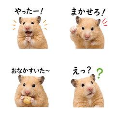 Reru's Everyday Life Moments
