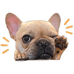 Dog Sticker Ryu