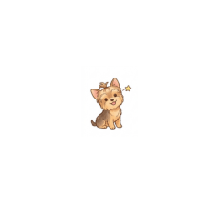 Cute Yorkshire Terrier33
