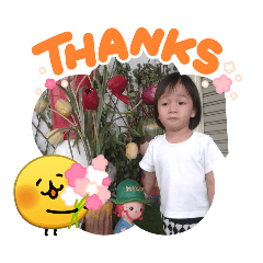 kann_20260512215923