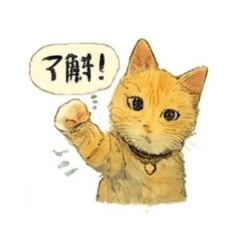 I love cats--