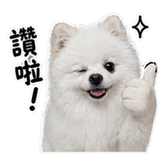 劉肥肥1
