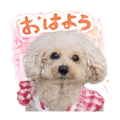 ramu_20260510041606