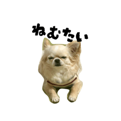 made by Kii