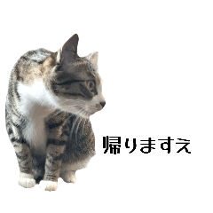 mu..._20260510