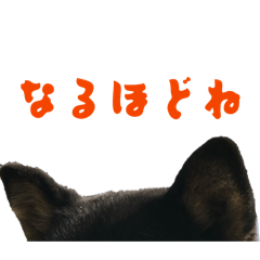 awtp_20260510142512