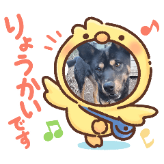 siroyuki_20260510144653