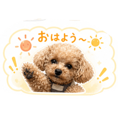 Mikan&Ringo_20260510144742