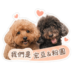 宏豆&粉圓