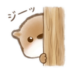 maruchoco_20260510035903