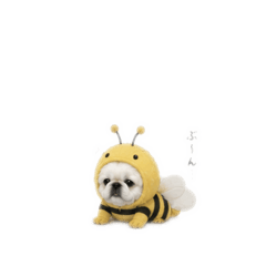 na7._20260510070100