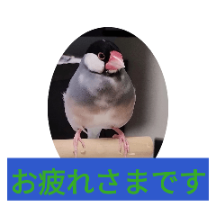 bunmoka