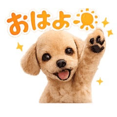 junya_20260510143555