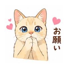 tatsgwboy_20260510151205