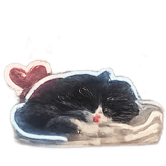 meow meow_20260510153127