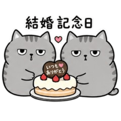 Pochaneko Gray Cat Special Days