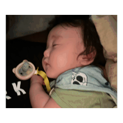 syuba_20260513010644