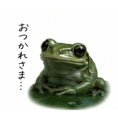 Good Work Today, Frog