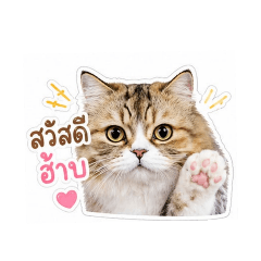 NAT SIRI_20260428162758