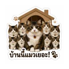 Phornphat_20260428162602