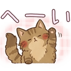 [Various Emotions] Various Cats