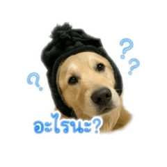 Mamui_20260428162901