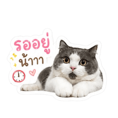 NooJune_1