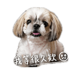 妹妹one