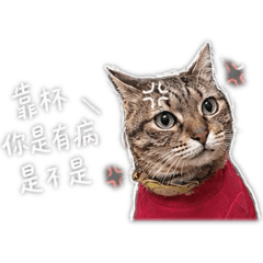 蔡妹仔