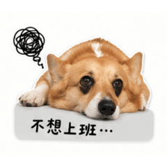 Yumi醬嗨
