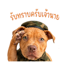 Dog_20260428163525