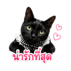 miss's Anchan_20260428163803