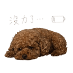 軟爛奈米