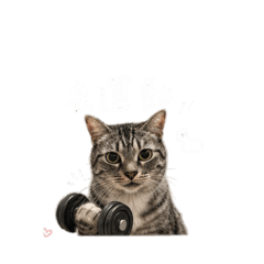 Cat0606