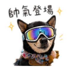 走嗲大哥❤️日常生活