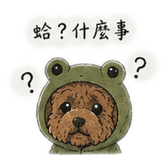 泡咪小貴賓